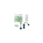 Kit de Poids Vaginaux Kegel Magic Motion Duo Vert