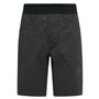 Pantalon pour Adulte La Sportiva Flatanger Noir Homme