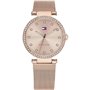 Montre Homme Tommy Hilfiger 1782508