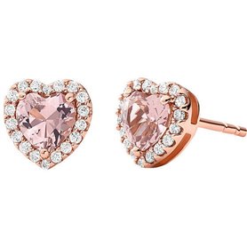 Boucles d´oreilles Femme Michael Kors MKC1519A2791