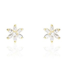 Boucles d´oreilles Femme Stroili 14017896