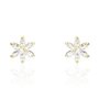 Boucles d´oreilles Femme Stroili 14017896