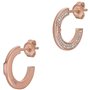 Boucles d´oreilles Femme Emporio Armani EG3590221