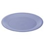 Assiette plate Bleu Rouge Vert Plastique (Reconditionné B)