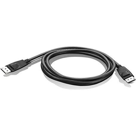 Lenovo DisplayPort 1