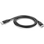 Lenovo DisplayPort 1