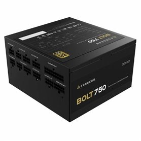 Bloc dAlimentation Forgeon 80 Plus Gold 750 W (Reconditionné A)