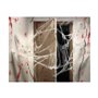 Toile d'araignée Halloween 200 g Blanc Multicouleur