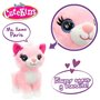 Jouet Peluche Colorbaby