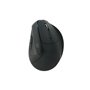 Souris Optique Ergonomique Conceptronic LORCAN03B Noir