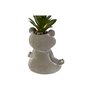 Plante décorative Home ESPRIT Polyéthylène Ciment Grenouille 7,5 x 5 x 11 cm (3 Unités)