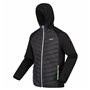 Veste de Sport pour Homme Regatta Andreson VIII Hybrid