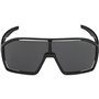 Lunettes de soleil Homme Alpina A8687431