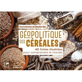 Géopolitique des céréales