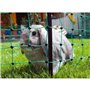 RabbitNet - KERBL - 25 m - 65 cm - Double pointe - Vert