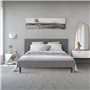 Lit adulte REMSEN - 160 x 200 cm  - Sommier inclus - Gris foncé