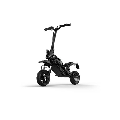 Scooter elec Acer Predator Extreme moteur 350W avant Pneu 10'' Plein Frein  dis