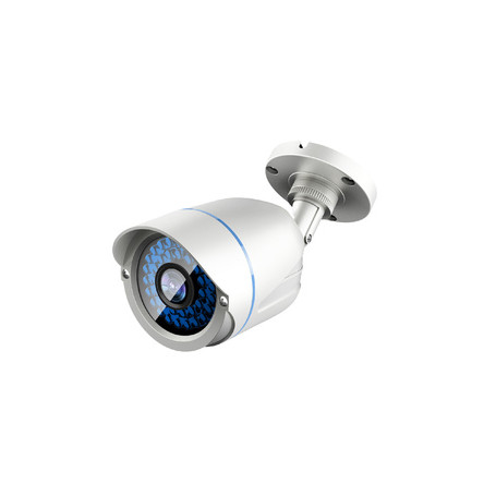 LevelOne ACS-5602 Caméra de sécurité CCTV Extérieure Cosse Plafond/mur