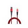 2GO 795946 câble Lightning 1 m Rouge