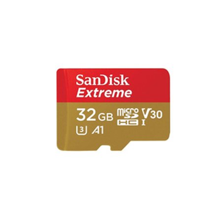 SanDisk Extreme 32 Go MicroSDXC UHS-I Classe 10