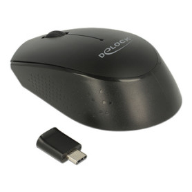 DeLOCK 12526 souris Ambidextre RF sans fil Optique 1000 DPI