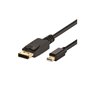 Uniformatic 12642 câble DisplayPort 2 m Mini DisplayPort Noir