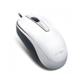 Genius Computer Technology DX-120 souris Bureau Ambidextre USB Type-A Optique 1000 DPI