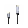 Inca ITCH-02TX câble HDMI 2 m HDMI Type A (Standard) USB Type-C Noir