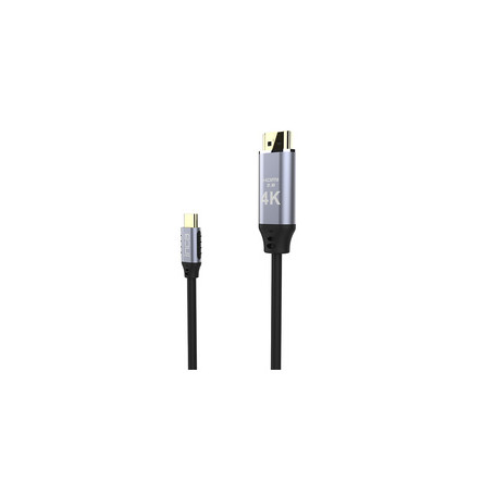 Inca ITCH-20 câble vidéo et adaptateur 2 m USB Type-C HDMI Noir