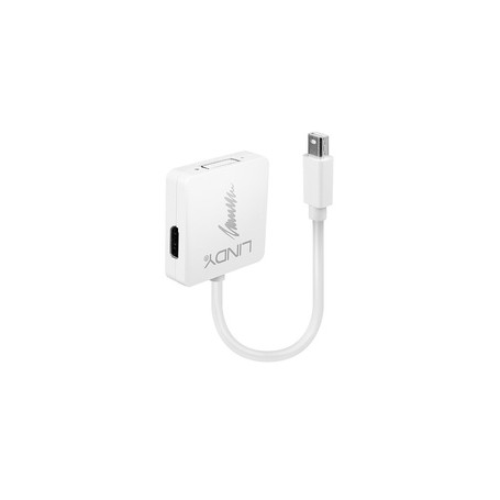 Lindy 41039 câble vidéo et adaptateur 0