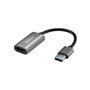 Sandberg 134-19 adaptateur graphique USB Gris