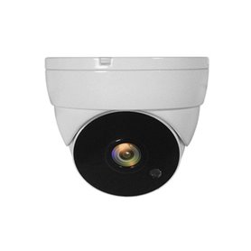 LevelOne ACS-5302 caméra de sécurité Dôme Caméra de sécurité CCTV Intérieure et extérieure Plafond