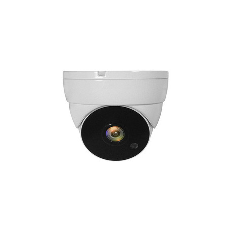 LevelOne ACS-5302 caméra de sécurité Dôme Caméra de sécurité CCTV Intérieure et extérieure Plafond