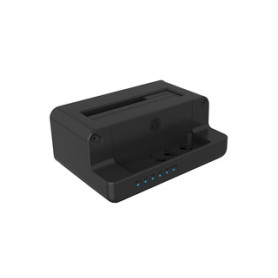 ICY BOX IB-2914MSCL-C31 USB 3.2 Gen 2 (3.1 Gen 2) Type-C Noir