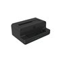 ICY BOX IB-2914MSCL-C31 USB 3.2 Gen 2 (3.1 Gen 2) Type-C Noir