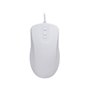 CHERRY AK-PMH12 souris Médical Ambidextre USB Type-A Optique 1000 DPI