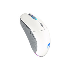 ENDORFY GEM Plus Wireless Onyx White souris Jouer Ambidextre RF Wireless + USB Type-C Optique 26000 DPI