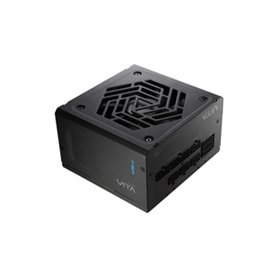 FSP VITA GM 1000W unité d'alimentation d'énergie 20+4 pin ATX ATX Noir