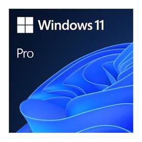 Microsoft Windows 11 Pro OEM