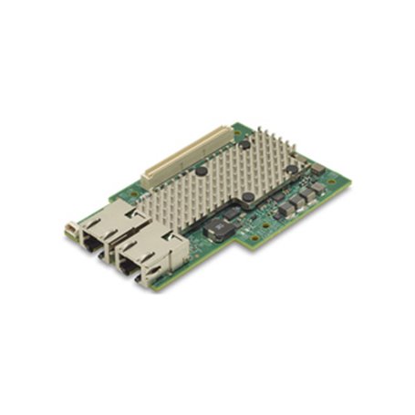 Broadcom NetXtreme-E M210TP 2 x 10GBASE-T RJ45 Interne Ethernet 10000 Mbit/s