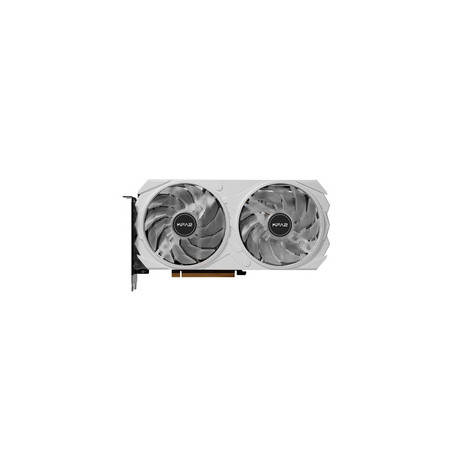 KFA2 GeForce RTX 4060 EX 1-Click OC NVIDIA 8 Go GDDR6