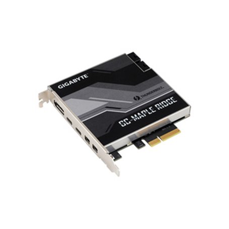 Gigabyte GC-MAPLE RIDGE carte et adaptateur d'interfaces Interne DisplayPort