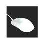 Endgame Gear OP1 RGB souris Jouer Droitier USB Type-A Optique 26000 DPI
