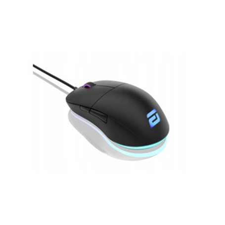 Endgame Gear XM1 RGB souris Jouer Droitier USB Type-A Optique 16000 DPI