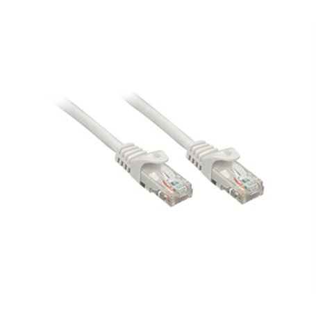 Lindy Rj45/Rj45 Cat6 0.3m câble de réseau Gris 0