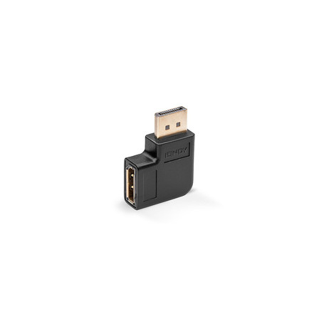 Lindy 41334 changeur de genre de câble DisplayPort Noir