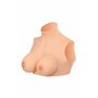 Vortex Dame Rose Starbust M