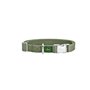 Collier pour Chien Hunter Vert 40-55 cm L