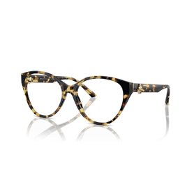 Monture de Lunettes Jimmy Choo JC 3009