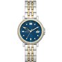 Montre Femme Skagen SIGNATUR LILLE (Ø 34 mm)